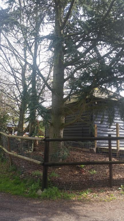 Latchmead Bed & Breakfast Stansted Mountfitchet Exteriér fotografie